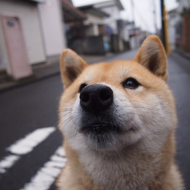 开云体育入口-哨声与战鼓，当几内亚的炙热心跳在东决之夜终结多特蒙德密码
