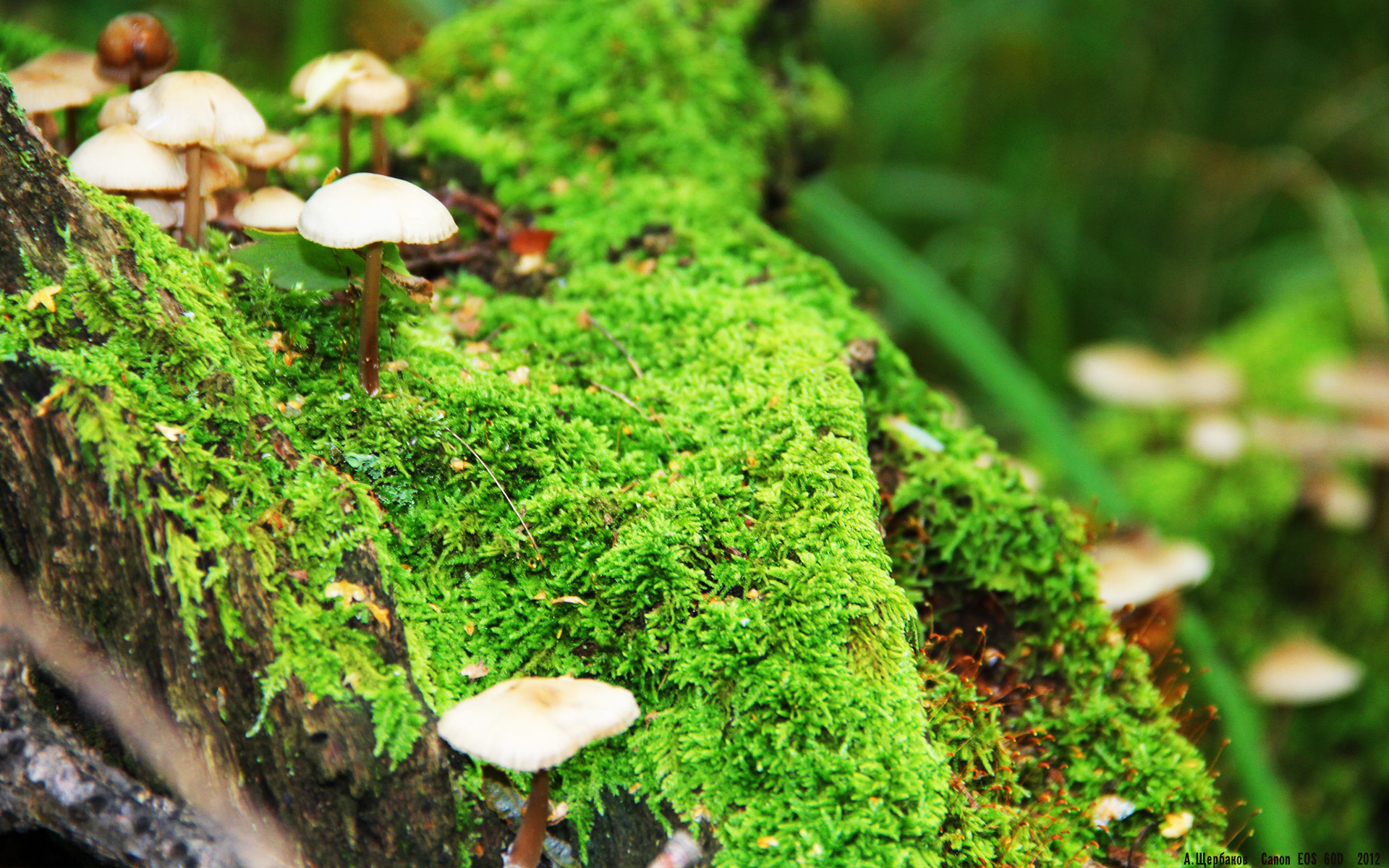 唯一的光芒，在压力之巅，门迪于德甲争冠夜完成自我加冕