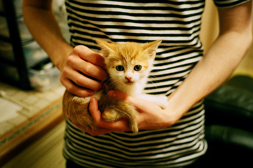 足球之夜，篮球之星，范弗利特诠释何为稳定输出不掉线