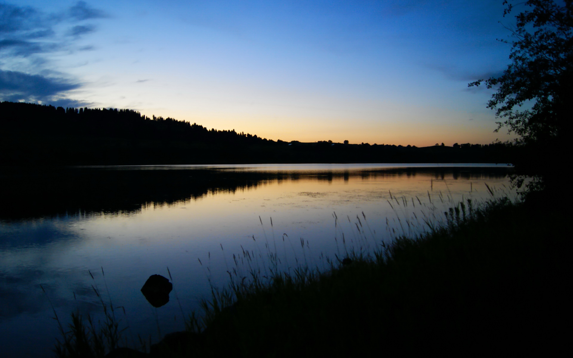 单节风暴与孤胆英雄，当猛龙撕裂篮网，布伦森在纽约接管时代