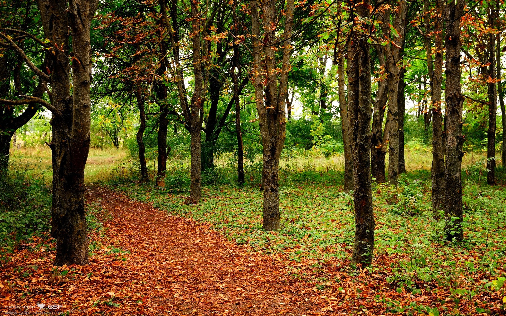 窒息时刻他依然清醒，霍勒迪如何用非巨星方式定义年度焦点之战