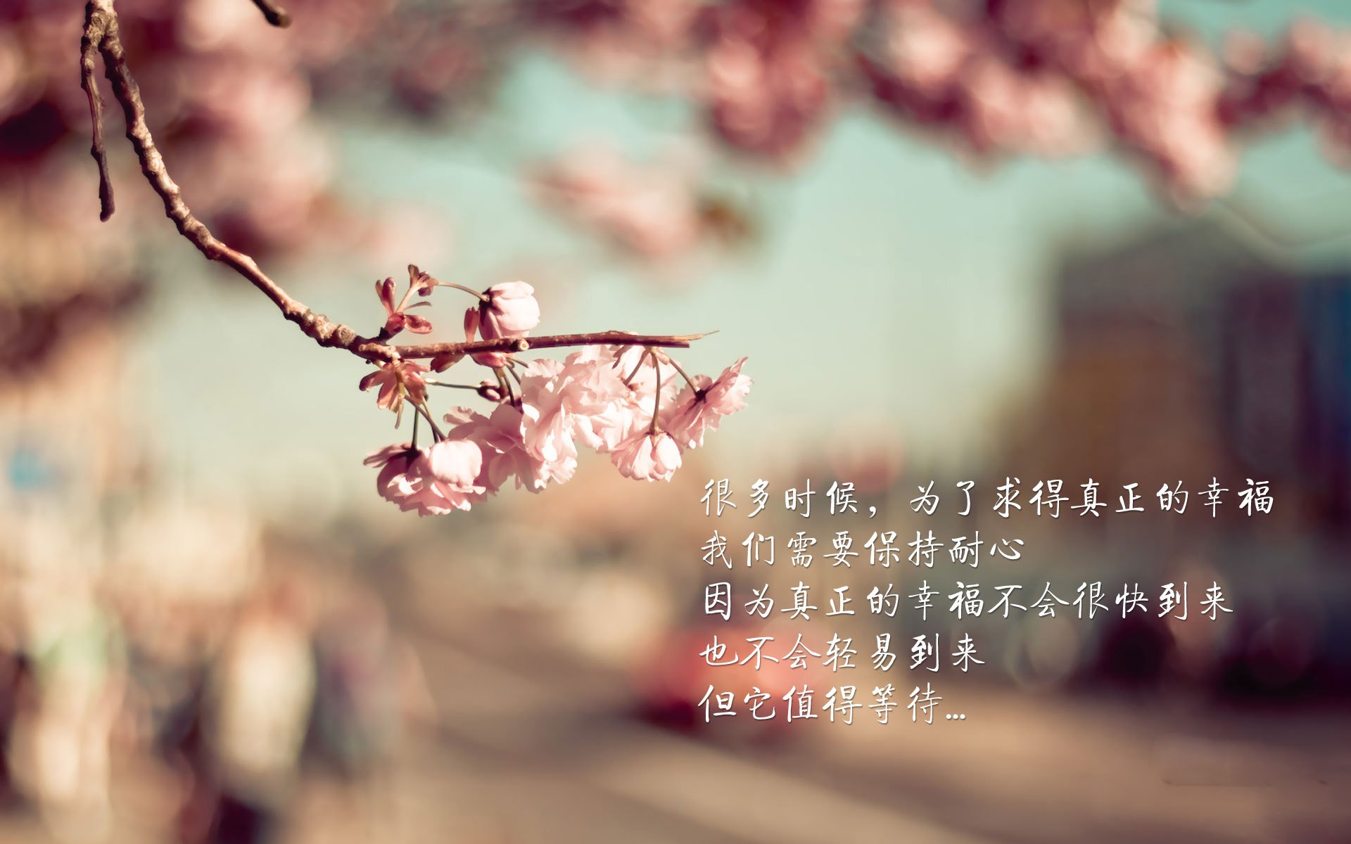 绿茵双线，阿劳霍铁闸自证，太极虎锋刃破墨