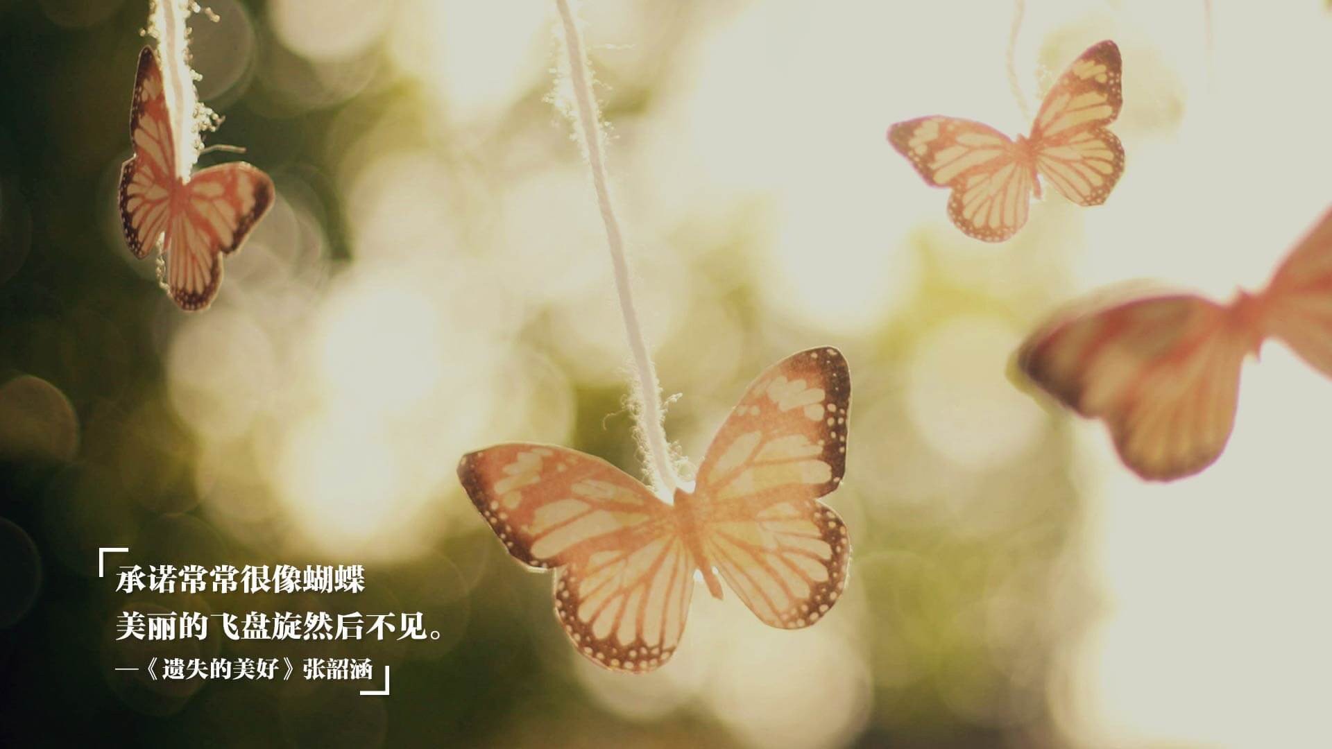 当利刃遇见壁垒,德罗赞在密尔沃基的夜晚