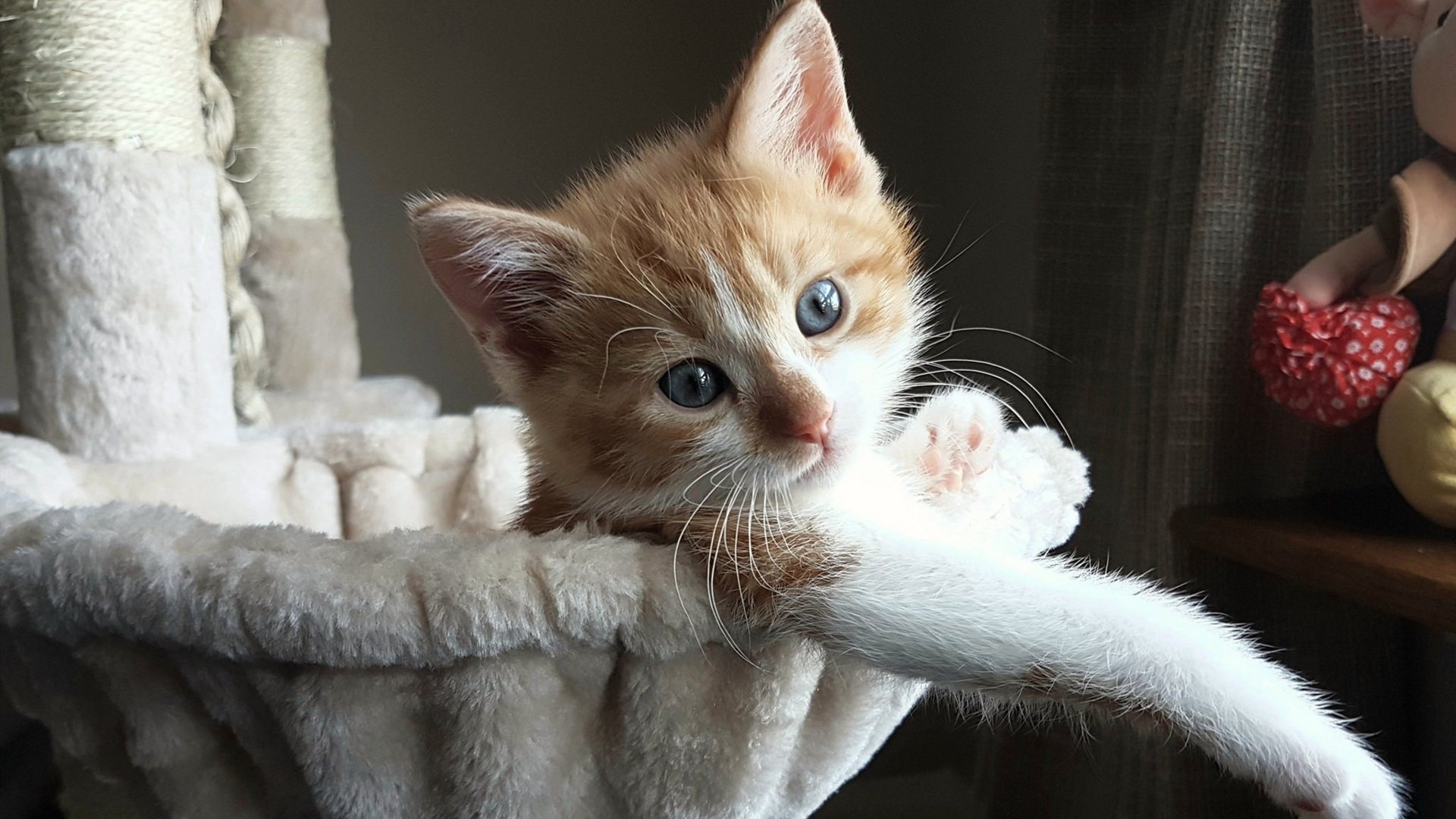 开云体育中国-德甲争冠战之夜，佩德里稳定输出不掉线，铸就传奇时刻