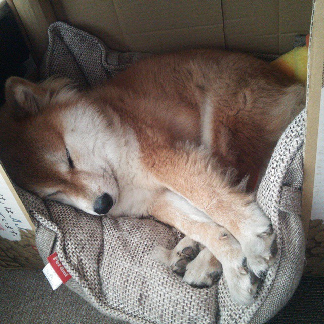 开云体育-二十六年的等待与六分钟的决断，当新疆风暴席卷费城之夜