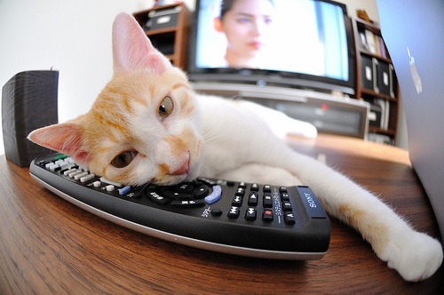 开云体育-当红魔血脉遭遇三狮铁壁，奥斯梅恩的唯一性艺术