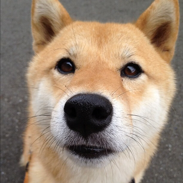 开云体育APP下载-2026，巴黎铁骑碾过红魔黄昏，一场定义时代更迭的焦点战