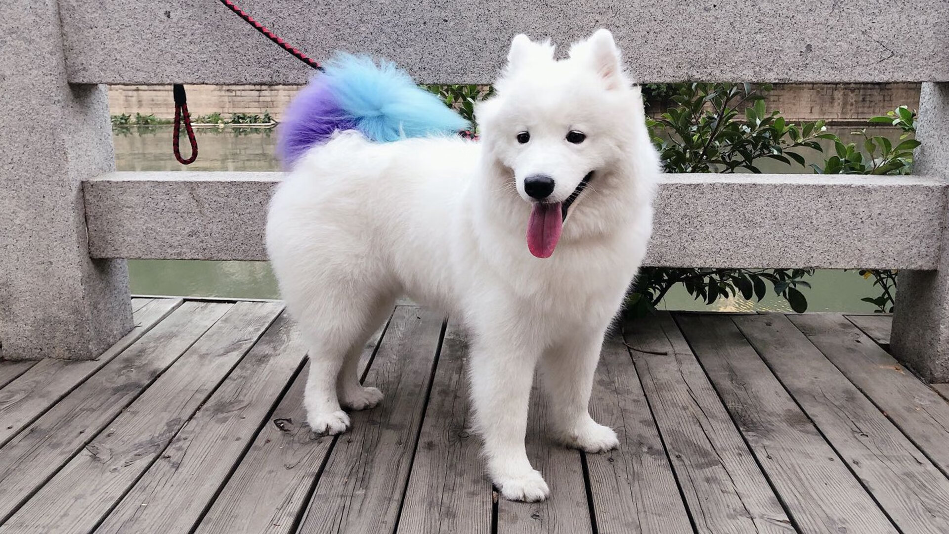 开云体育官网-哈利伯顿存在感拉满串联全局，老鹰团队火力全开粉碎热火防线