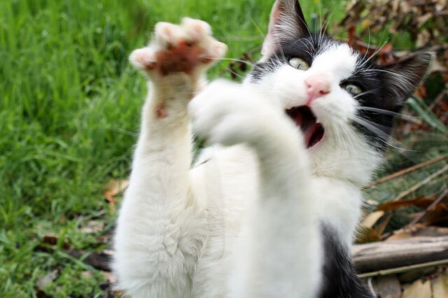 开云体育app-精密算力与野蛮接管，论足球控制学的两种范式