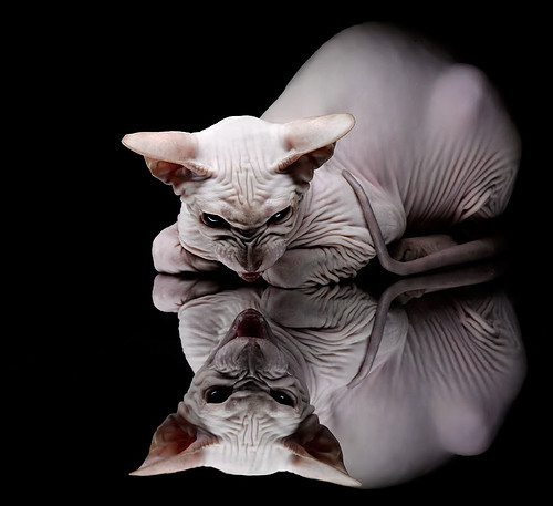 当新大陆遇上旧港口，厄德高的双眼丈量着两个世界