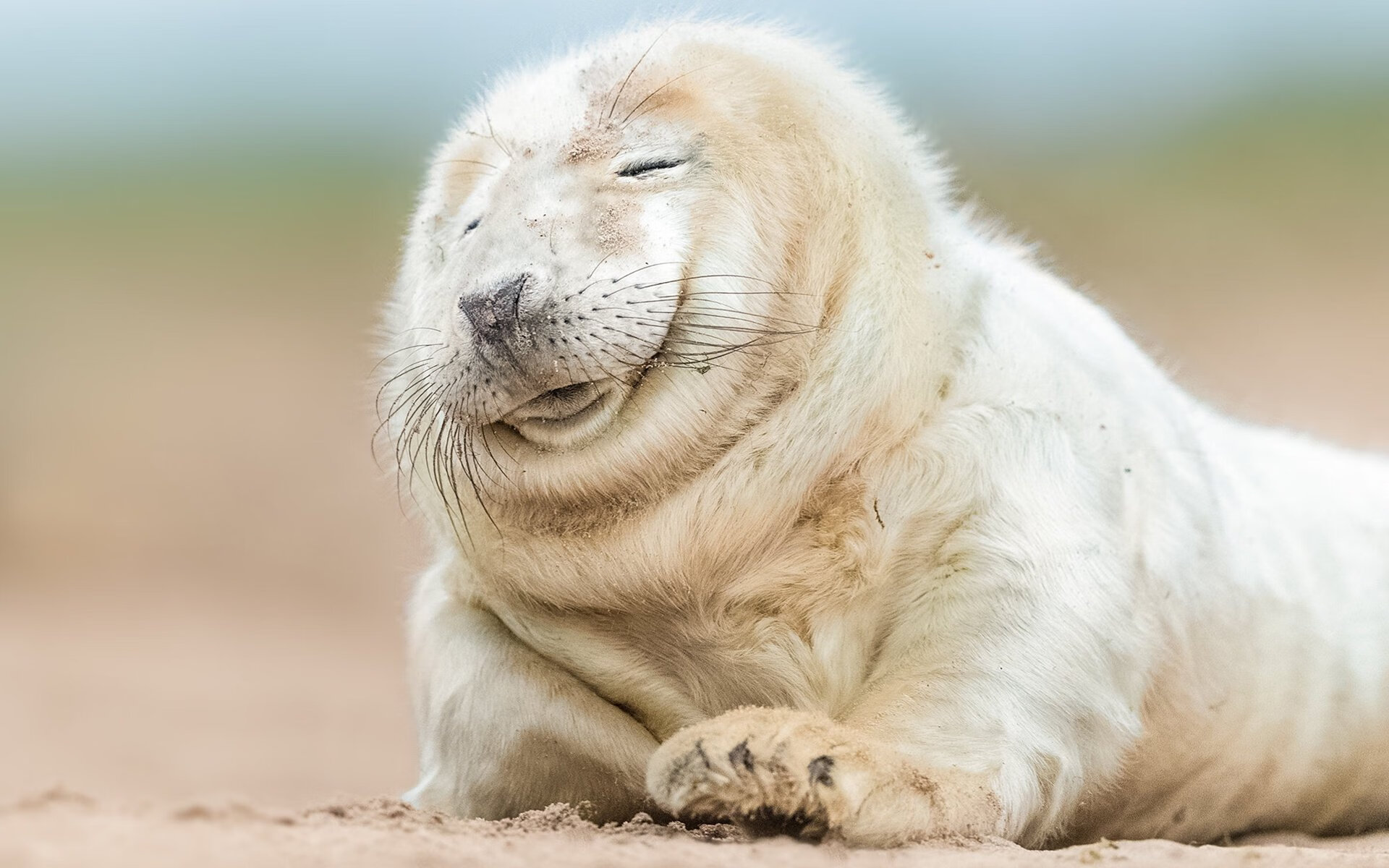 终局协议，德黑兰-伯尔尼云端抢七战