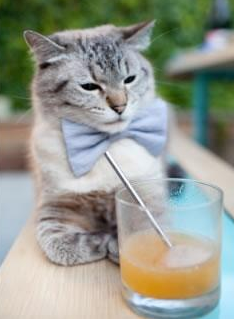 西甲国家德比之夜，孔德，那堵会呼吸的墙