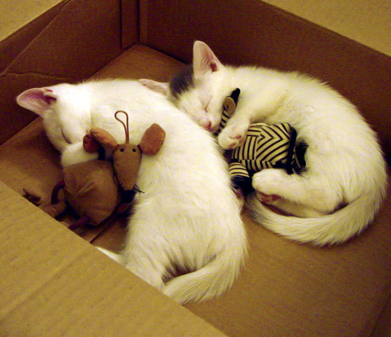 开云体育登录-锁链与顽石，当黄色潜水艇的精密防御，遭遇十字路口的坚如磐石