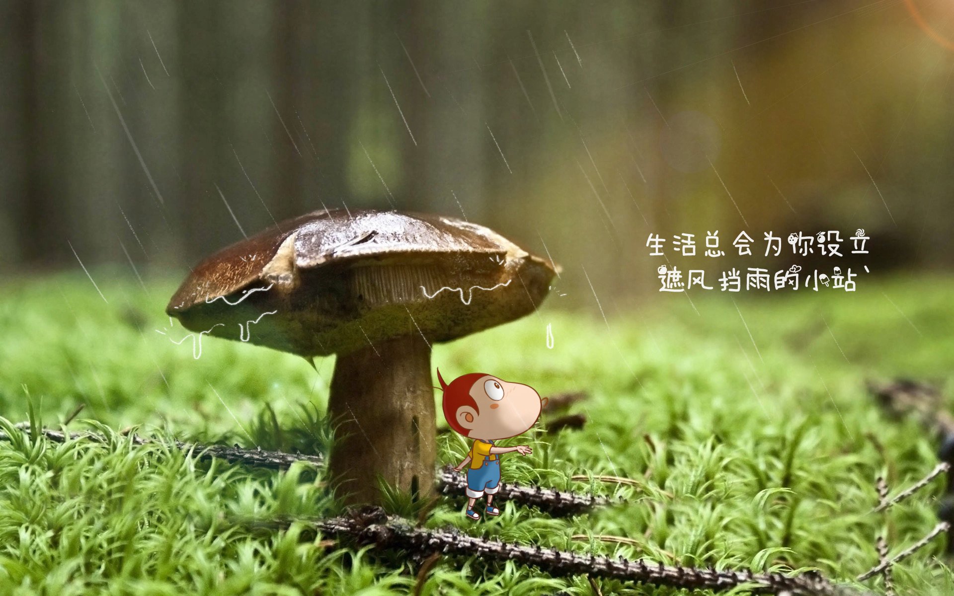 潘帕斯雄鹰折戟河内，越南足球点燃2026世界杯第一把火