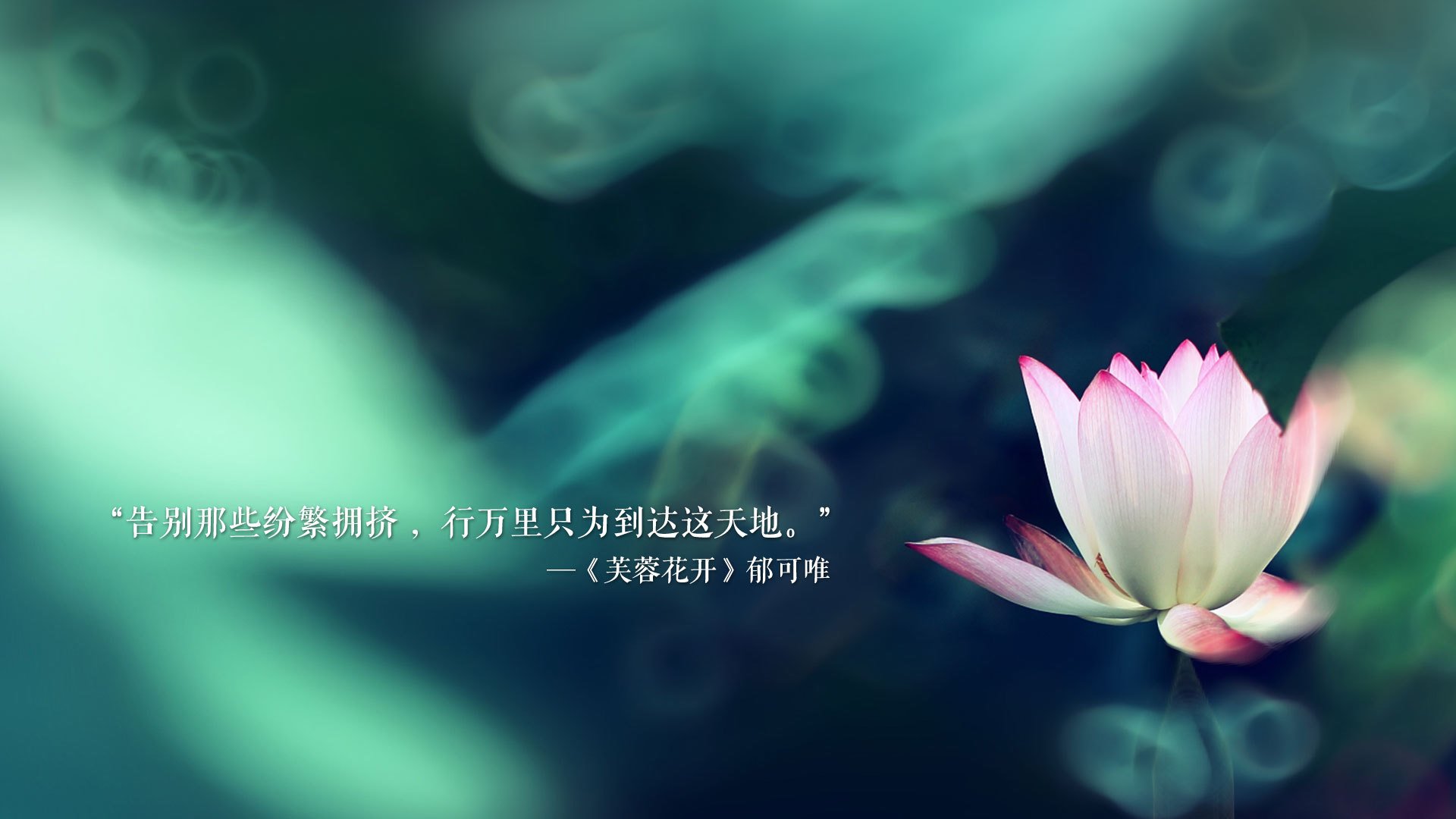 开云体育入口-铁骑与桑巴，2026世界杯淘汰赛日，伊朗硬撼印度，维尼修斯点燃全场