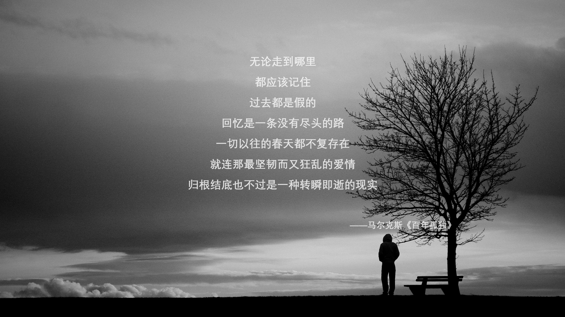1.悬念感)美加墨之夜,沙漠风暴席卷桑巴王国,伊朗如何用钢铁防线和哈兰德一击,将五星巴西拉下马