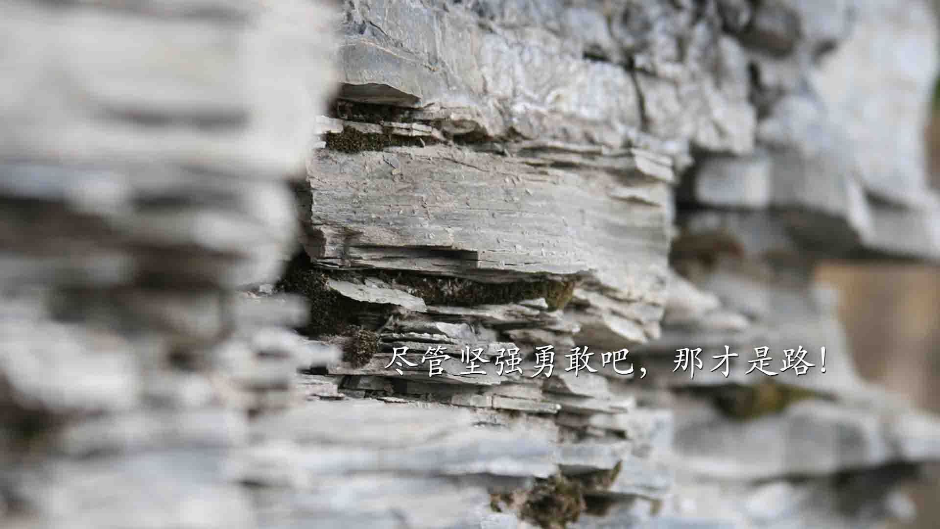 当喀尔巴阡山的鹰喙刺穿钟表齿轮—2026世界杯E组那场改写命运的2.3秒