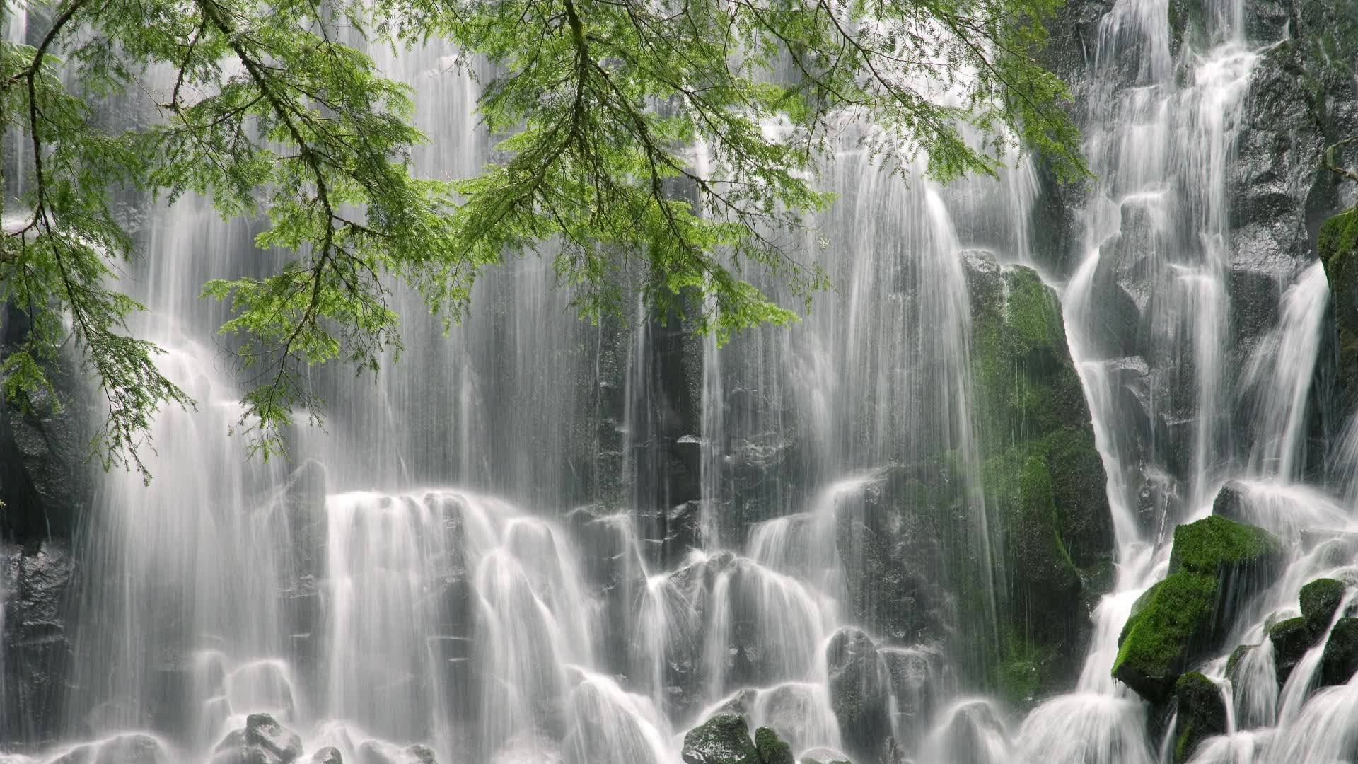 开云体育入口-安第斯神鹰碾碎樱花，高卢之刃刺穿宿命，一场颠覆足球地理的唯一盛宴