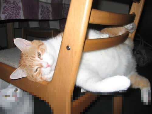沙漠之狐的致命手术刀，2026世界杯，伊拉克用最纯粹的防守反击，在四分之一决赛中刺穿阿联酋